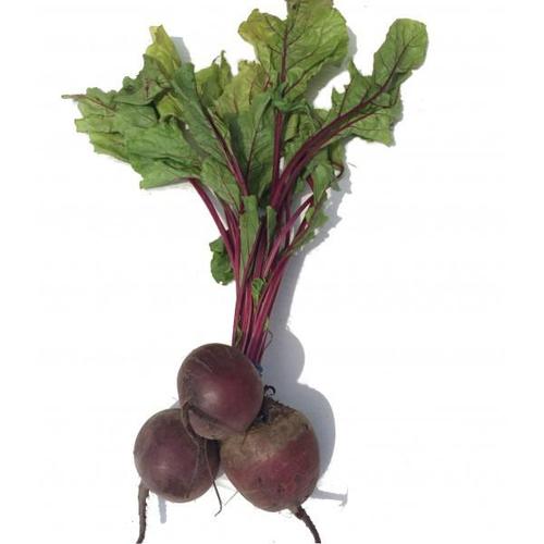 Fresh Beetroot With Stalk
