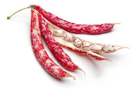 Borlotti Beans 500g