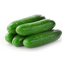 Lebanese Cucumber 1Kg