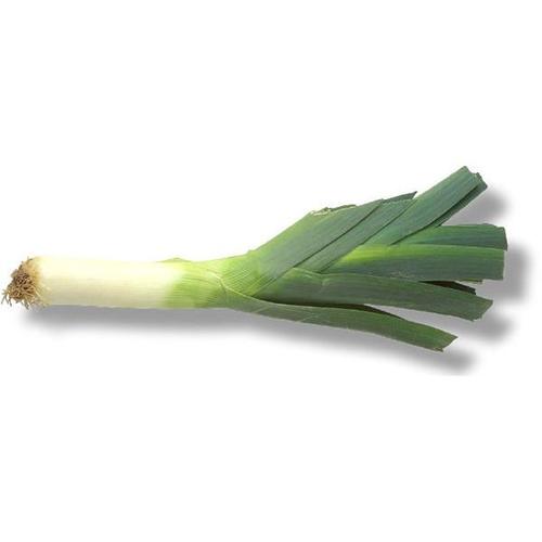 Large Leeks